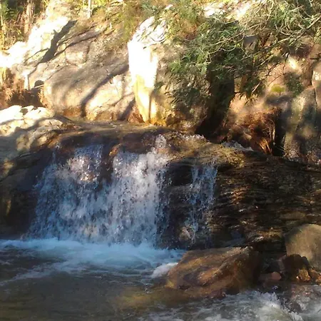 Visitar Bioucas Ii * Souto (Santarem)