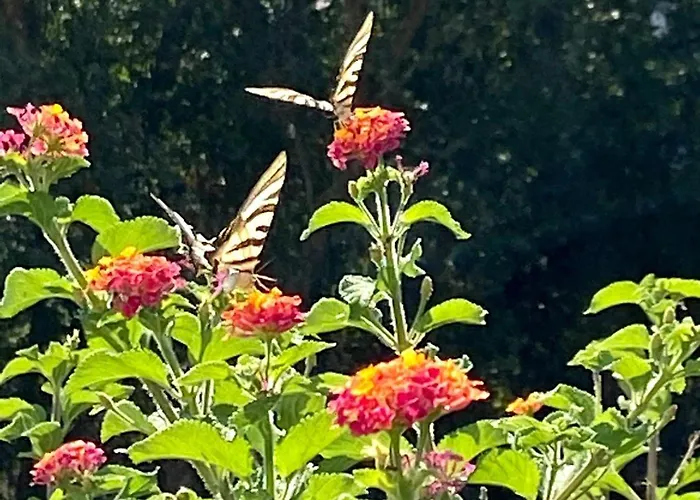 Holiday home Visitar Bioucas Ii Souto (Santarem)